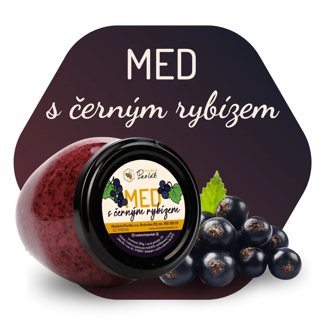 Med s černým rybízem